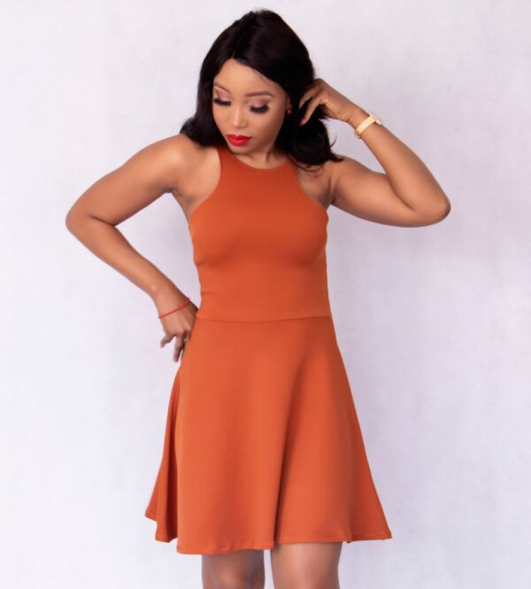 Rust Skater Mini Dress