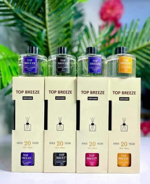 Top Breeze Home Diffuser